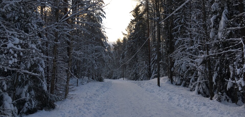 Kuva jossa luminen polku.
